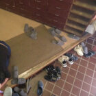 処女J○ 非道中出し「濡れてんじゃねえかよ変態だなお前」朝練に向かう途中、見知らぬ男に突然襲われ… ダウンロード download