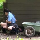 下校中に野ションする女子校生 3 ダウンロード download