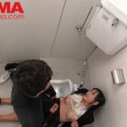 公衆トイレで犯●れる女子校生 ダウンロード download