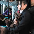 キモ面で非モテの僕が同じバスに乗ってくる巨乳女子校生に欲情！思い切ってチ○ポを擦りつけて痴●したところなんと大成功！調子に乗って痴●集団を結成！巨乳女子校生をターゲットにバス痴●しまくった！ ダウンロード download