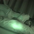 愛知県名○屋市某有名女子校バスケ部顧問 合宿中に教え子を夜●いレ●プ ダウンロード download