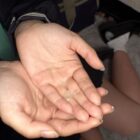 観光地で見つけたふんわりしたあの子が大人の階段登りました ほしのしほ ダウンロード download